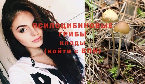 первитин Верхний Тагил